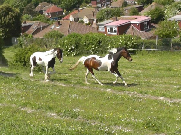 Lance and Ghost race (7)