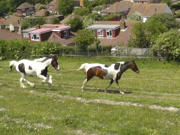 Lance and Ghost race (8)