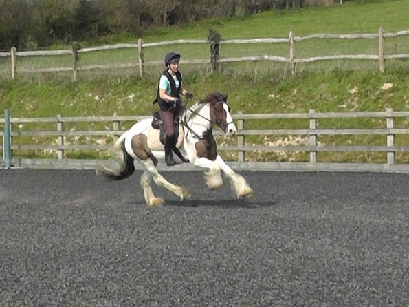 04-08-2015_101325(5)