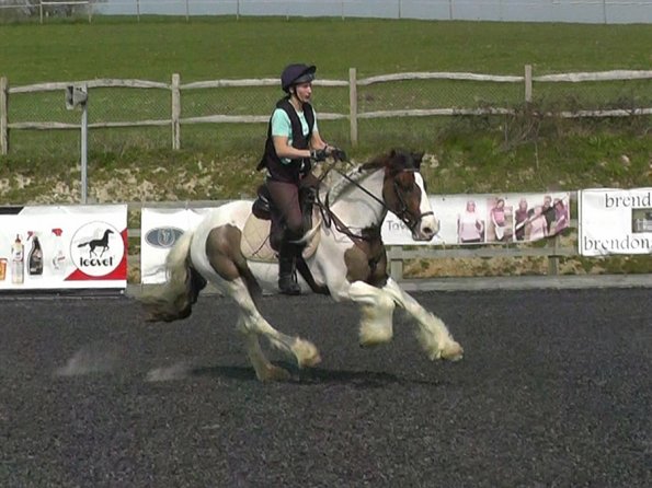 04-08-2015_101325(6)