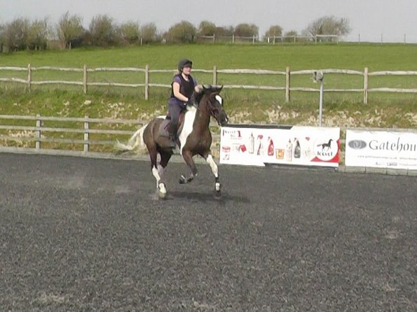 04-08-2015_103602(3)