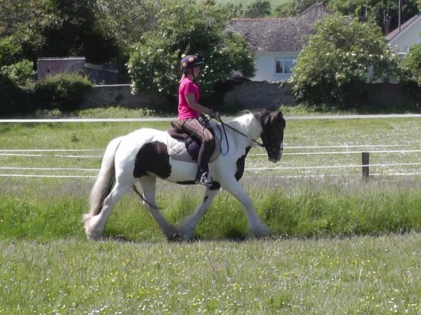 06-06-2014_125147(2)