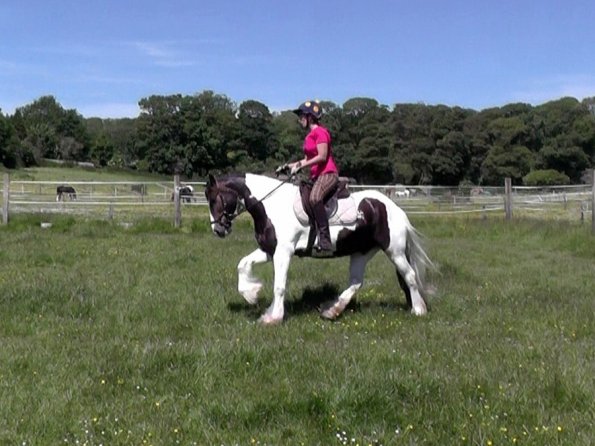 06-06-2014_125147(3)