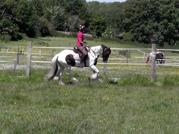 06-06-2014_125147(4)