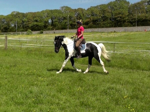 06-06-2014_132217(2)