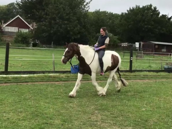 67509342_2295283057258121_6999715498887741440_n