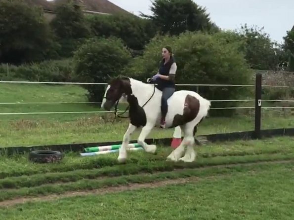 67646828_620368248372767_6018651978144415744_n