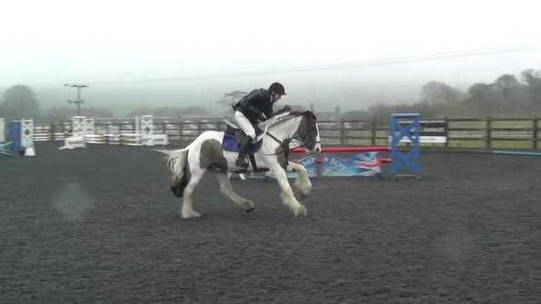 03-28-2015_133611(9)