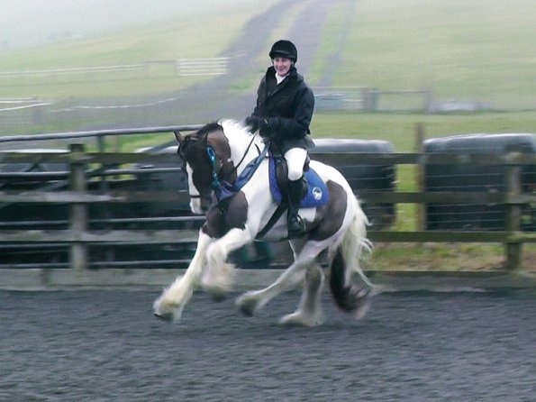 03-28-2015_135536(1)