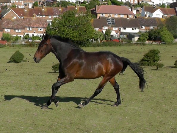 07-19-2015_082512(2)