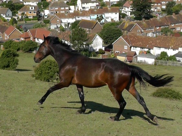 07-19-2015_082512(3)