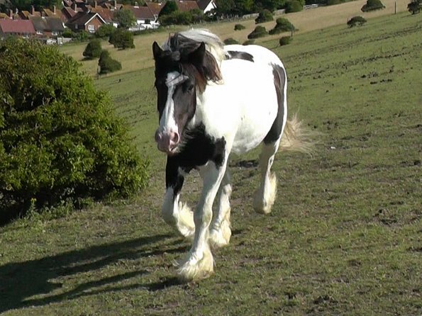 07-19-2015_082512(6)