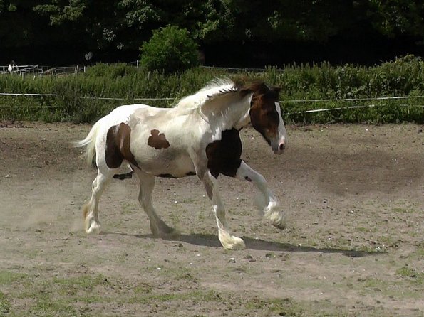 07-19-2015_114753(1)