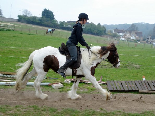 Buggering off after a buck