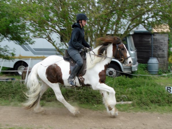 Canter right (3)