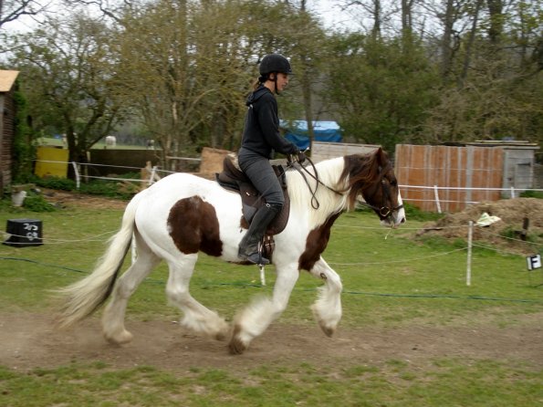 Transition into canter