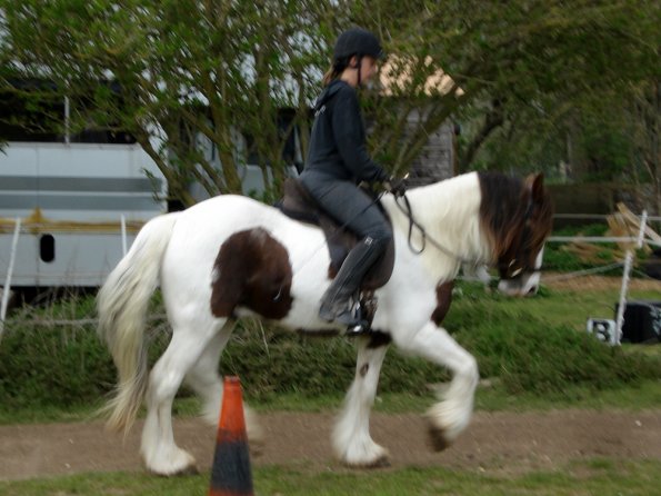 Trot right (5)