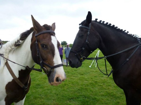 Teams SJ at Goring (20)