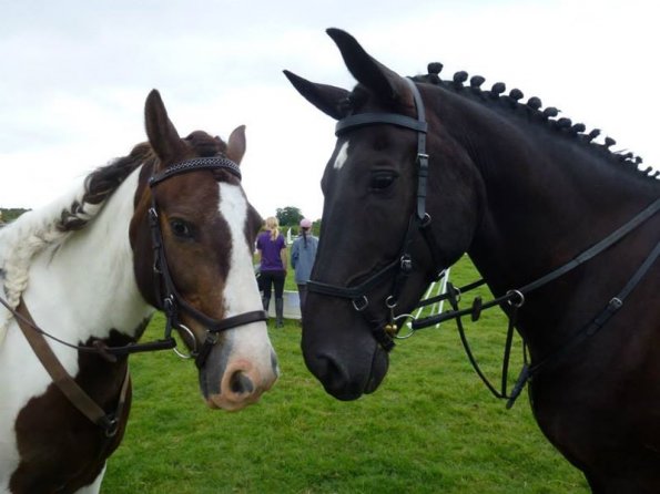 Teams SJ at Goring (3)