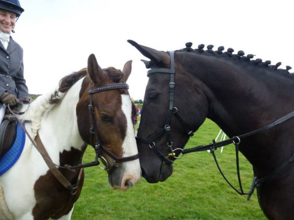 Teams SJ at Goring (5)