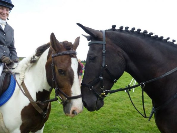 Teams SJ at Goring (6)