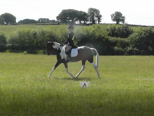 Ghost dressage 1