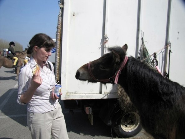 Adorable Appley (10)