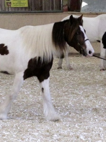 Lance and Anna in hand (7)