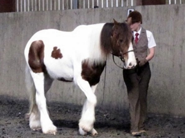 Lance and Anna in hand