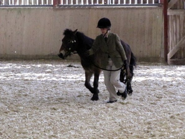 Mountain and Moorland (10)