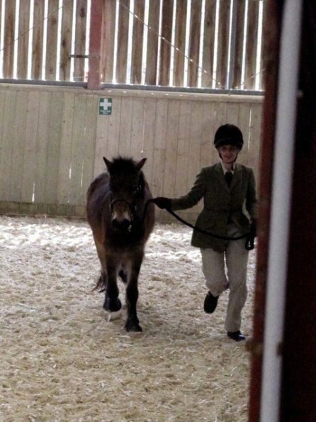 Mountain and Moorland (2)