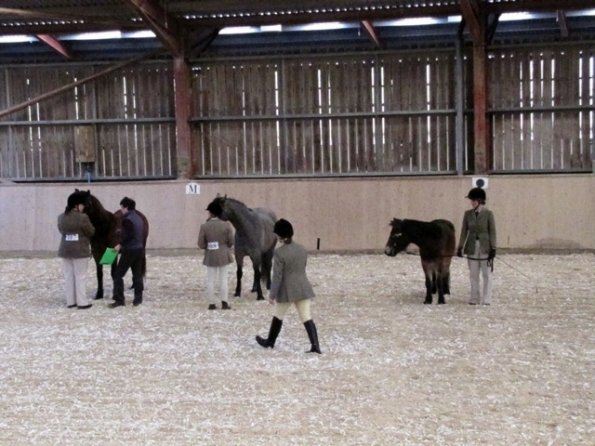 Mountain and Moorland (3)