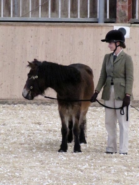 Mountain and Moorland (4)