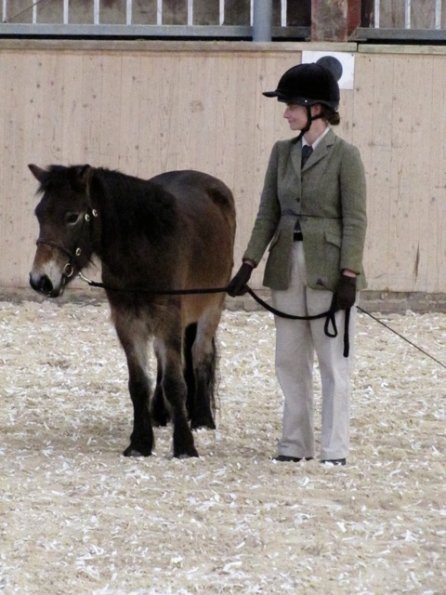 Mountain and Moorland (5)