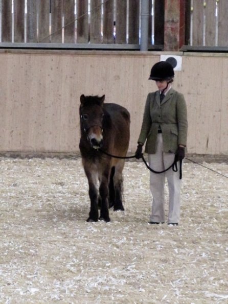 Mountain and Moorland (6)