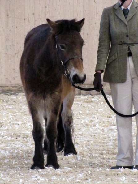 Mountain and Moorland (7)