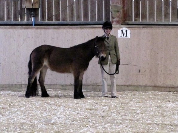 Mountain and Moorland