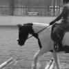 Lance polework clinic (1)