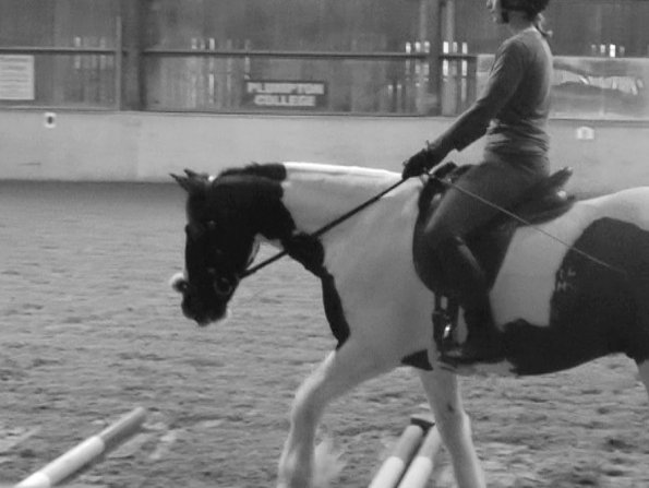 Lance polework clinic (1)
