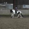 Lance polework clinic (12)