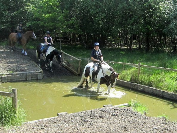 Day at Hurstwood (10)