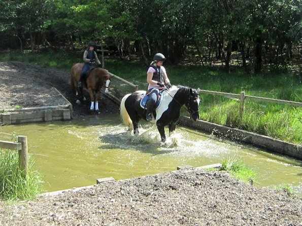 Day at Hurstwood (11)