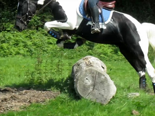 Day at Hurstwood (14)