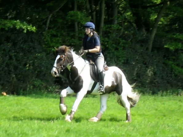 Day at Hurstwood (15)