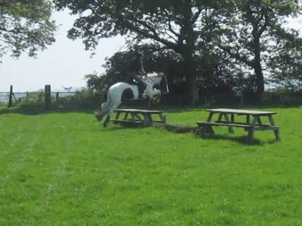 Day at Hurstwood (20)