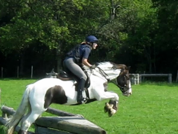 Day at Hurstwood (21)