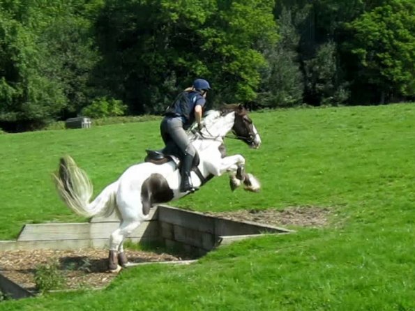 Day at Hurstwood (30)