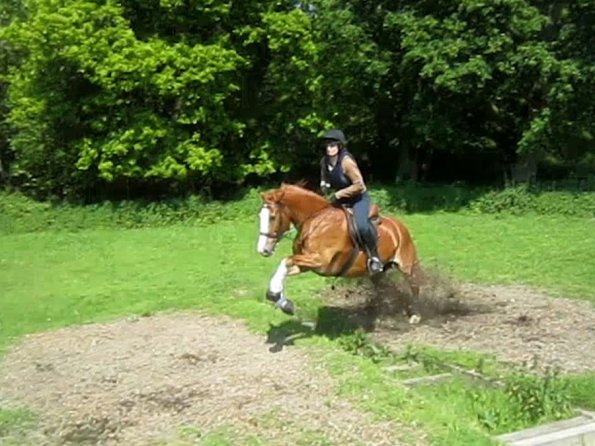 Day at Hurstwood (32)