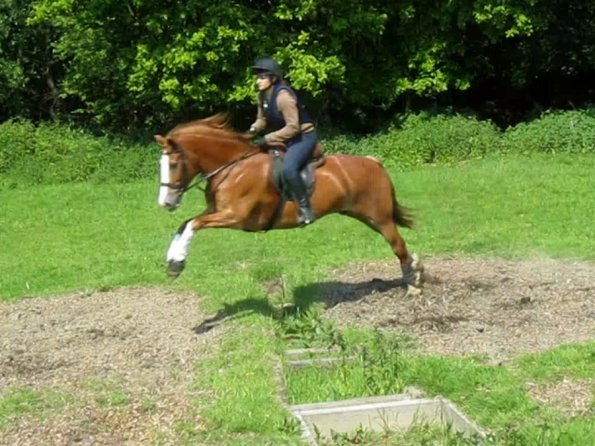 Day at Hurstwood (33)