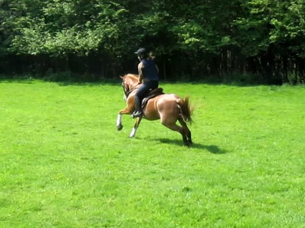 Day at Hurstwood (35)